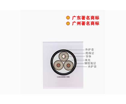 YJV22-26/35kV YJV22-26/35kV